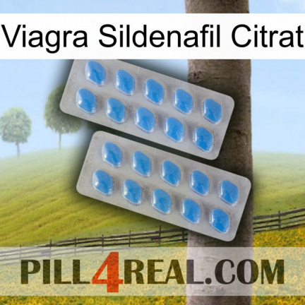 Viagra Sildenafil Citrate 23